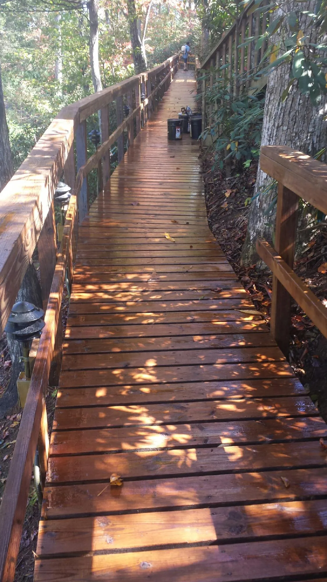Freshly stained wood walkway winding through the woods in Round O
